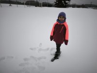 whatsapp image 2026-02-04 at 21.26.41 2